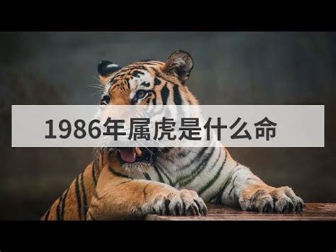 1986是什麼年